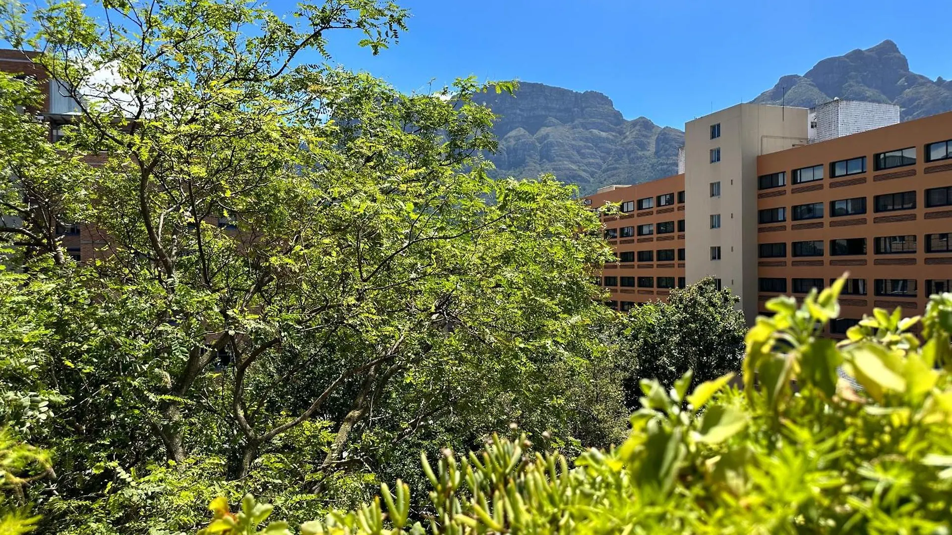 Newlands Peak Apartments Cape Town